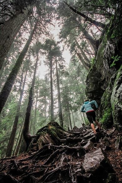 a person is running down a trail in the woods with trees on both sides and roots all over the ground