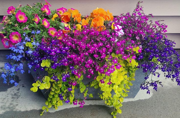 colorful flowers are growing in a planter outside