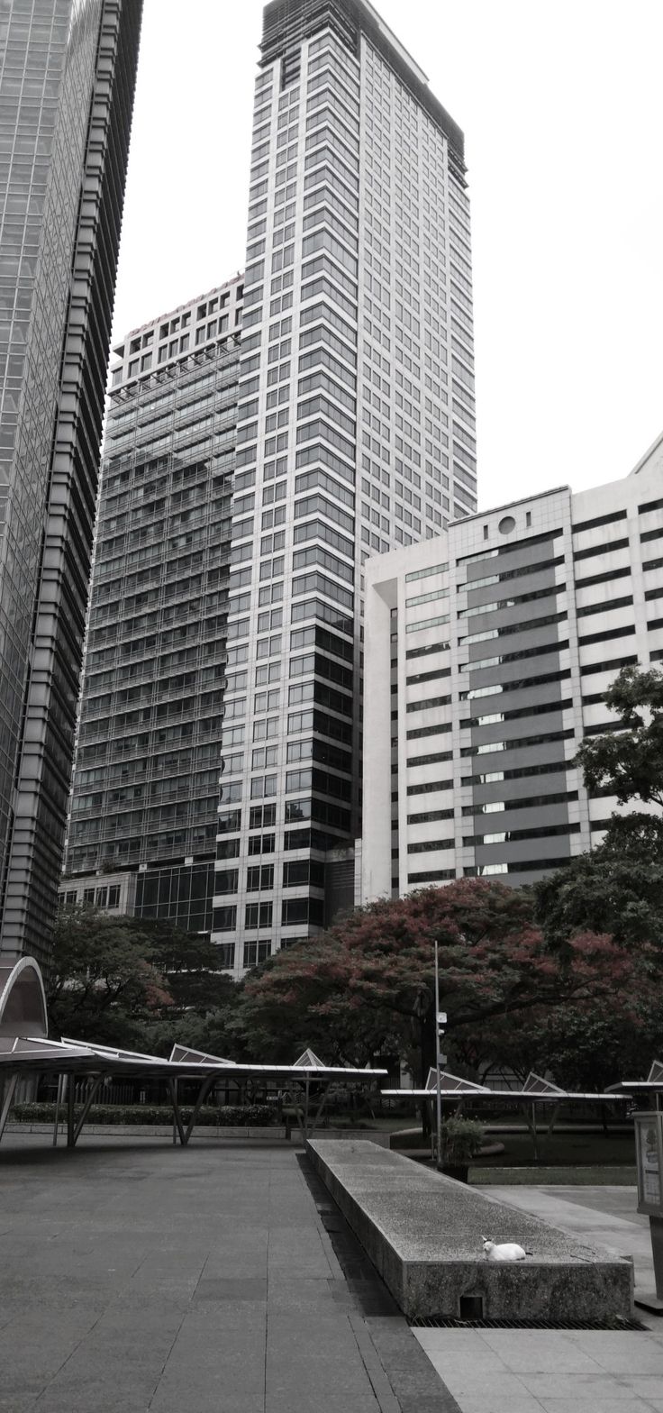 two tall buildings are in the background with benches