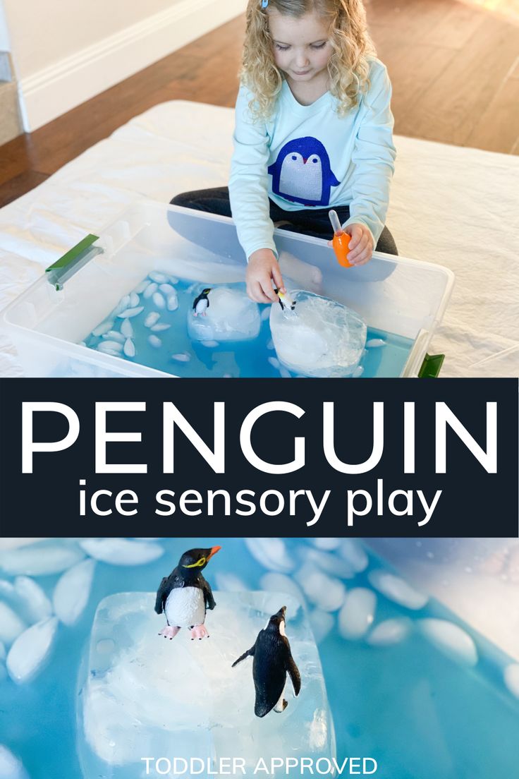 Ice Sensory Play, Fun Sensory Activities, Penguin Preschool, Arctic Animals Activities, Arctic Animals Preschool, Winter Activities For Toddlers, Sensory Play Toddlers, Penguin Activities, Toddler Sensory Bins