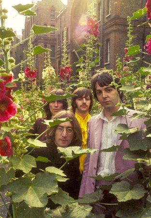 the rolling stones standing in front of red flowers and greenery on a sunny day