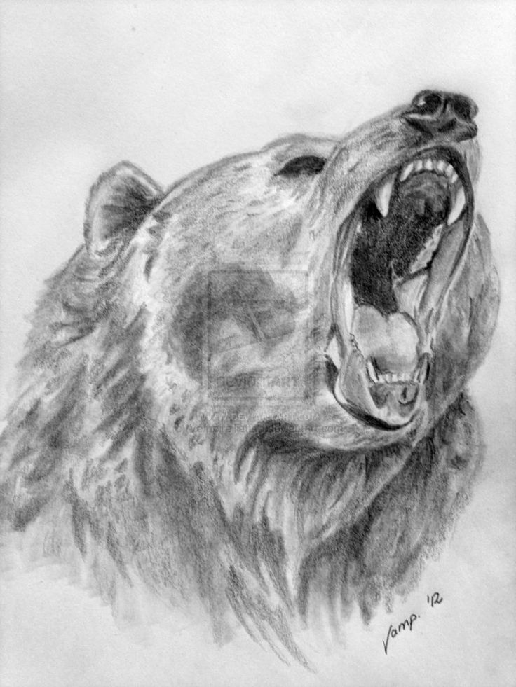 a drawing of a bear with its mouth open