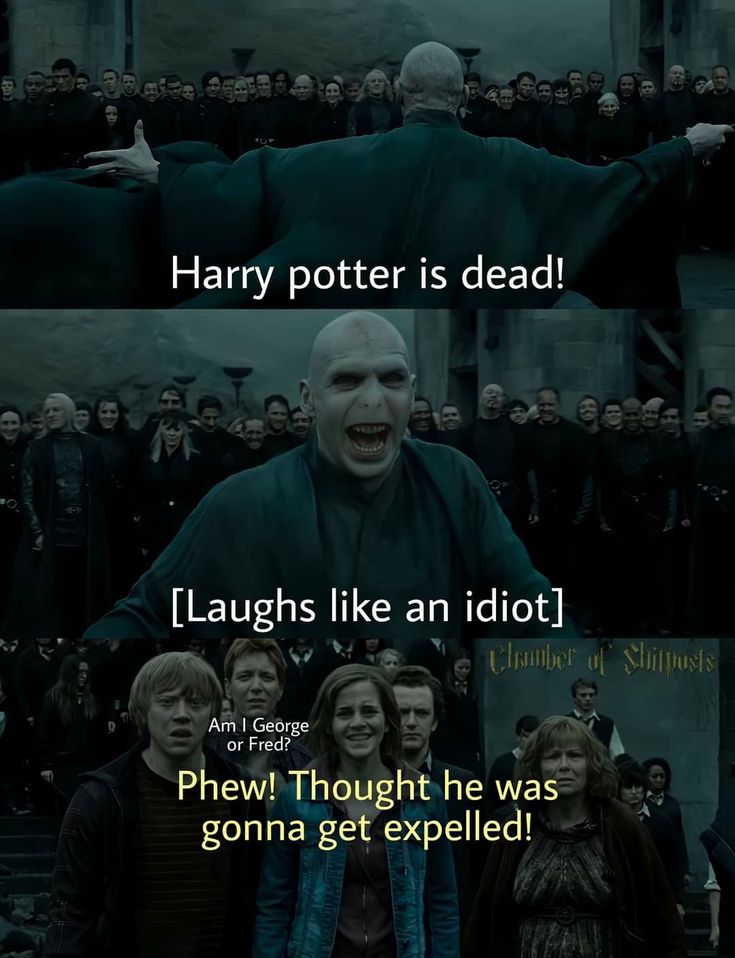 Harry Potter Quotes Funny, Citate Harry Potter, Glume Harry Potter, Funny Harry Potter Jokes, Harry Potter Memes Hilarious, Harry Potter Puns, Funny Harry Potter, Harry Potter Feels, Potter Quotes