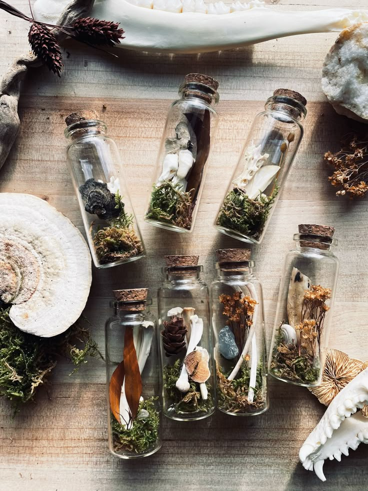 several glass bottles filled with different types of herbs and spices on a wooden table next to shells