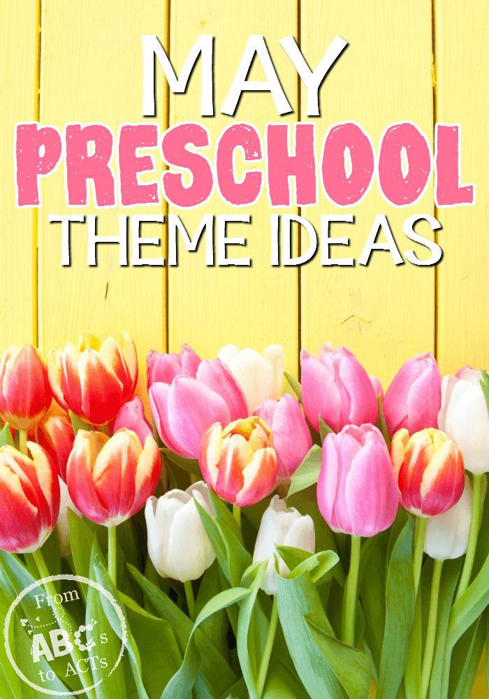 a vase filled with pink and white tulips next to a yellow wall that says may preschool theme ideas