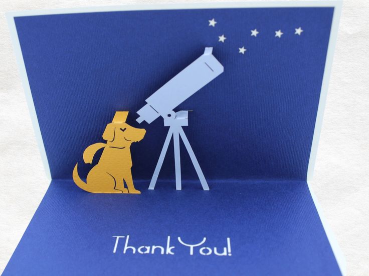 a thank you card with a dog looking at a telescope