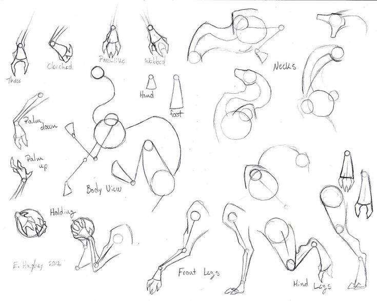 some drawings of different poses and shapes for the character's head, shoulders, hands and feet