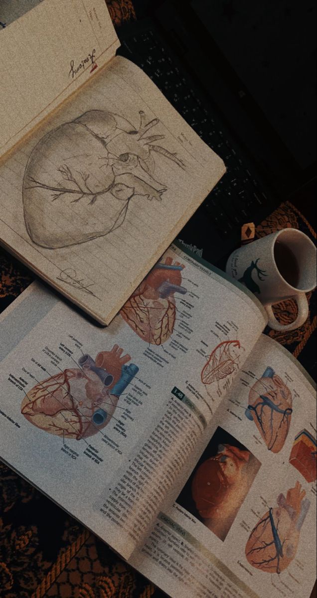 an open book with drawings on it next to a coffee cup and other medical items