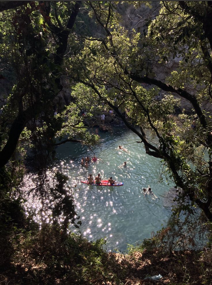 people are swimming in the river surrounded by trees