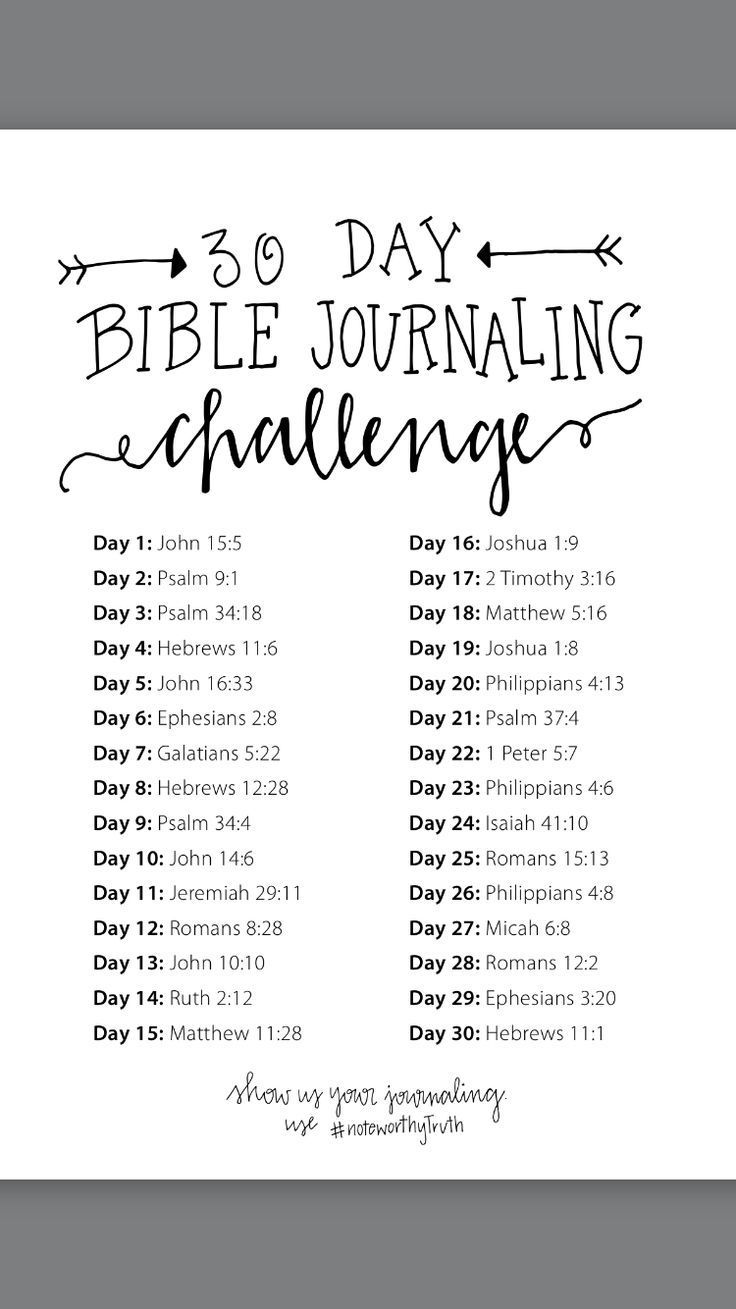 the daily bible journal with an image of numbers and dates for each month on it