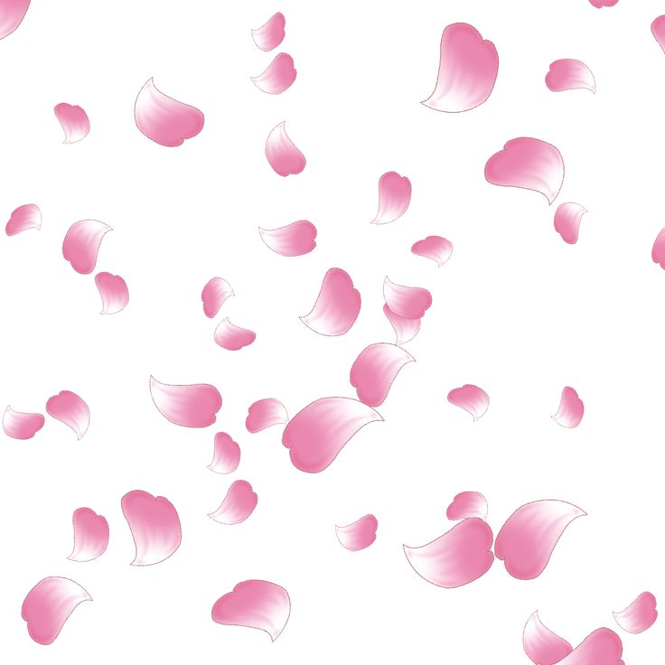 pink petals are flying in the air on a white background