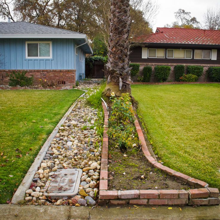 a tree and some rocks in front of a house