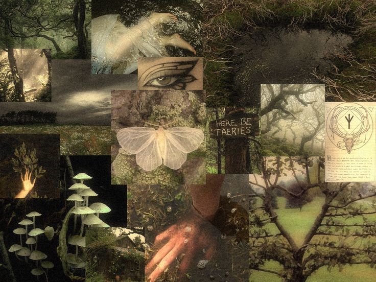 a collage of images with trees and plants in them, including mushrooms, leaves, butterflies, etc