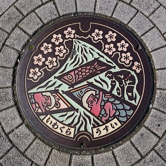 a manhole cover with an image of two fish and flowers painted on the side