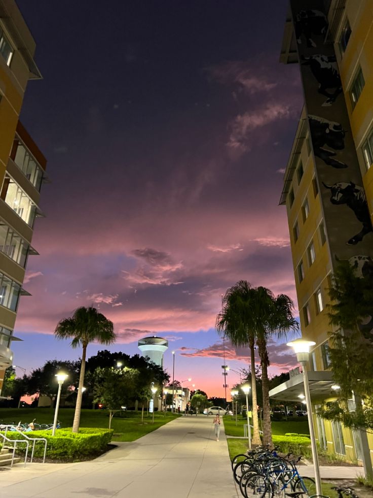 two bicycles are parked on the sidewalk next to some buildings and palm trees at dusk