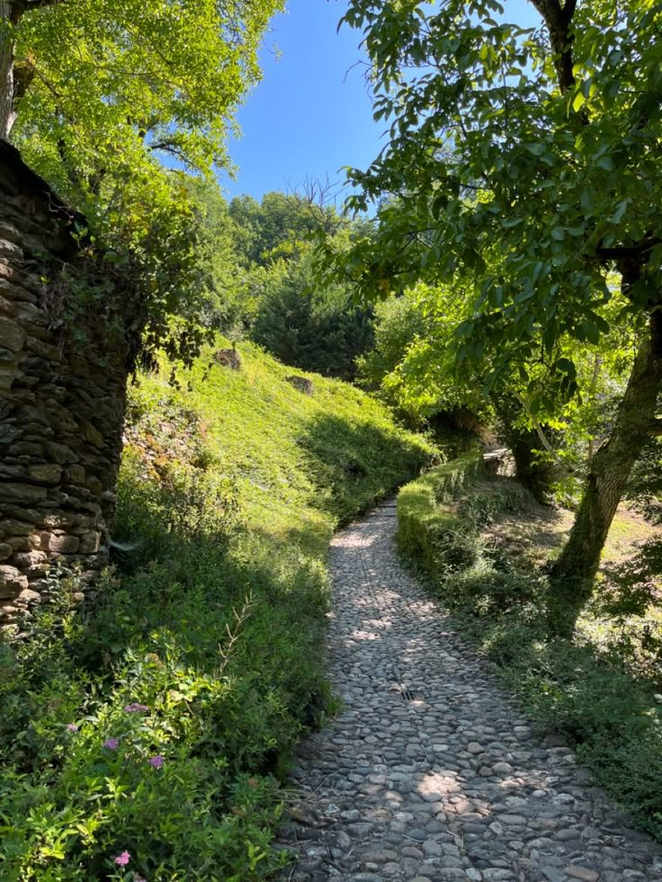 a stone path is surrounded by trees and grass