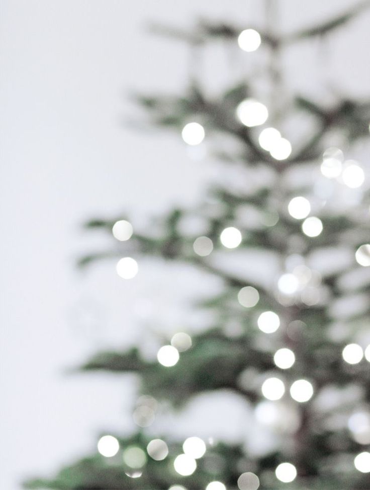 a small christmas tree with white lights on it