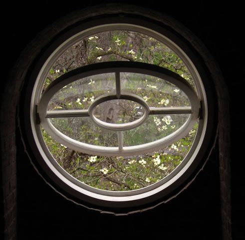 a circular window in the middle of a dark room with trees and flowers around it