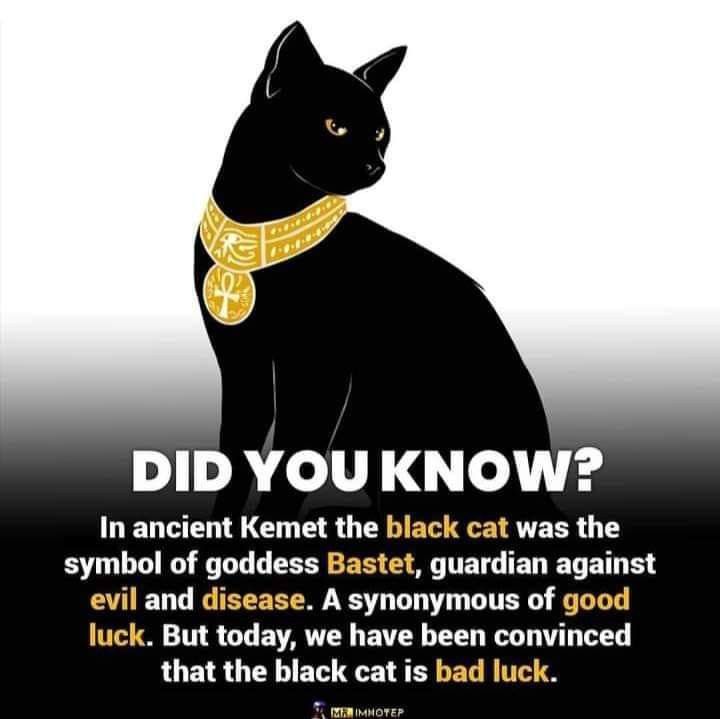 a black cat wearing a gold collar with the words did you know? in ancient kemet the black cat was the symbol of goddess bastet, guardian against evil and disease