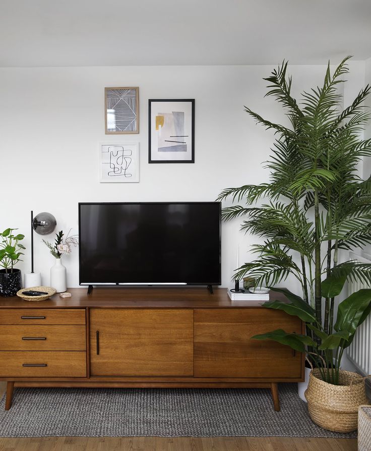 a flat screen tv sitting on top of a wooden dresser next to a potted plant