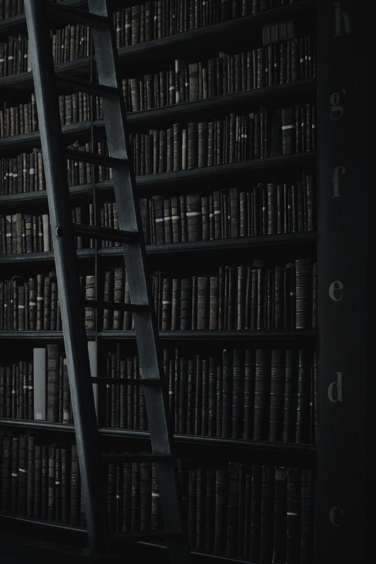 a ladder leaning up against a bookshelf filled with lots of bookcases