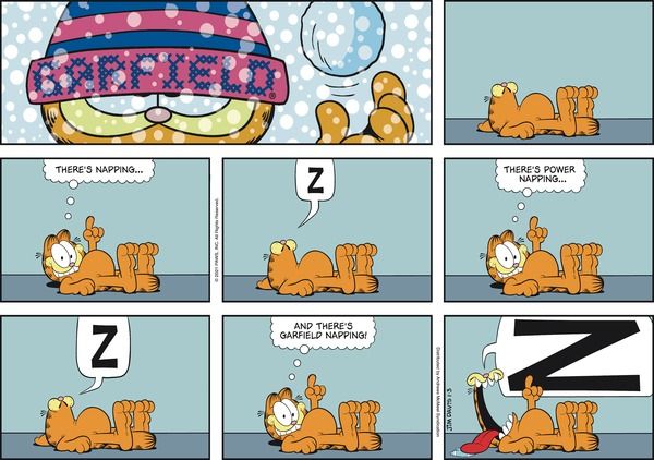 a comic strip with an orange cat laying on the floor