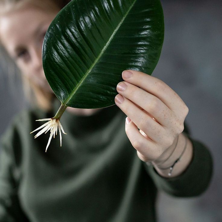 a woman holding up a large green leaf