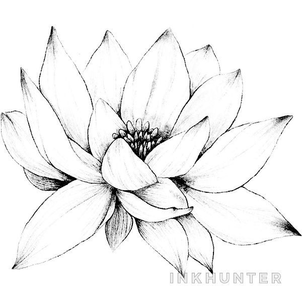 a black and white drawing of a large flower with leaves on it's petals