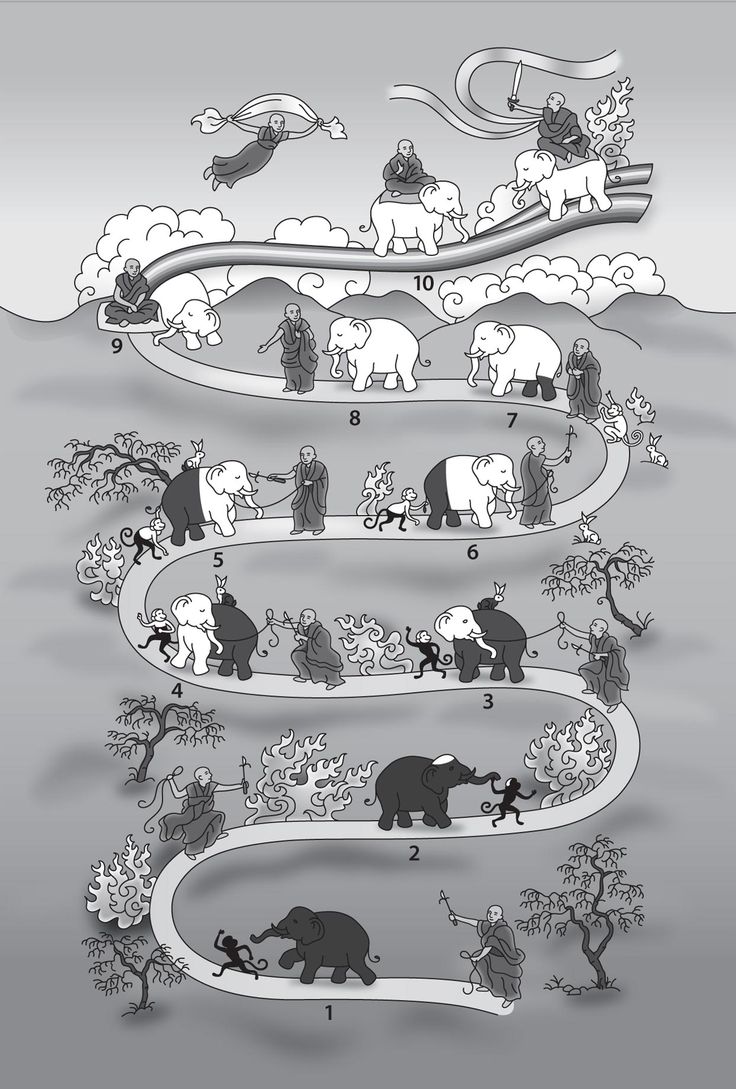 an illustrated diagram showing the steps in which elephants are walking