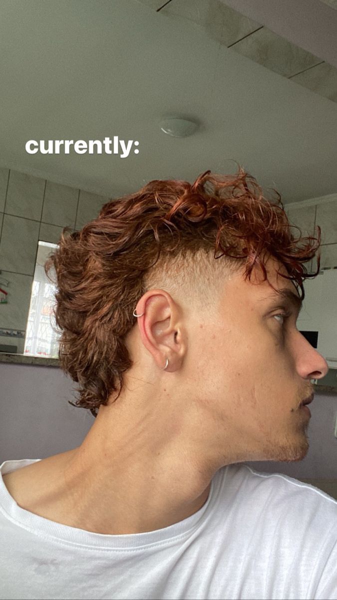 Small Mullet Curly Hair Men, Copper Hair Men, Blonde Curly Mullet Men, Subtle Mullet Men Curly, Men’s Haircut Modern Mullet Curly, Men’s Modern Mullet Curly, Ginger Hair Men, Anime Haircut, Short Punk Hair