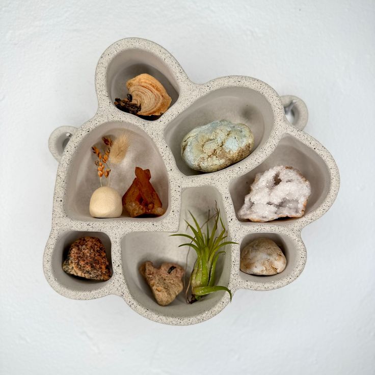 an arrangement of different rocks and plants on a white surface, arranged in the shape of a flower