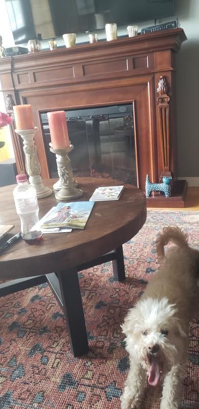 a small white dog standing on top of a rug in front of a fire place