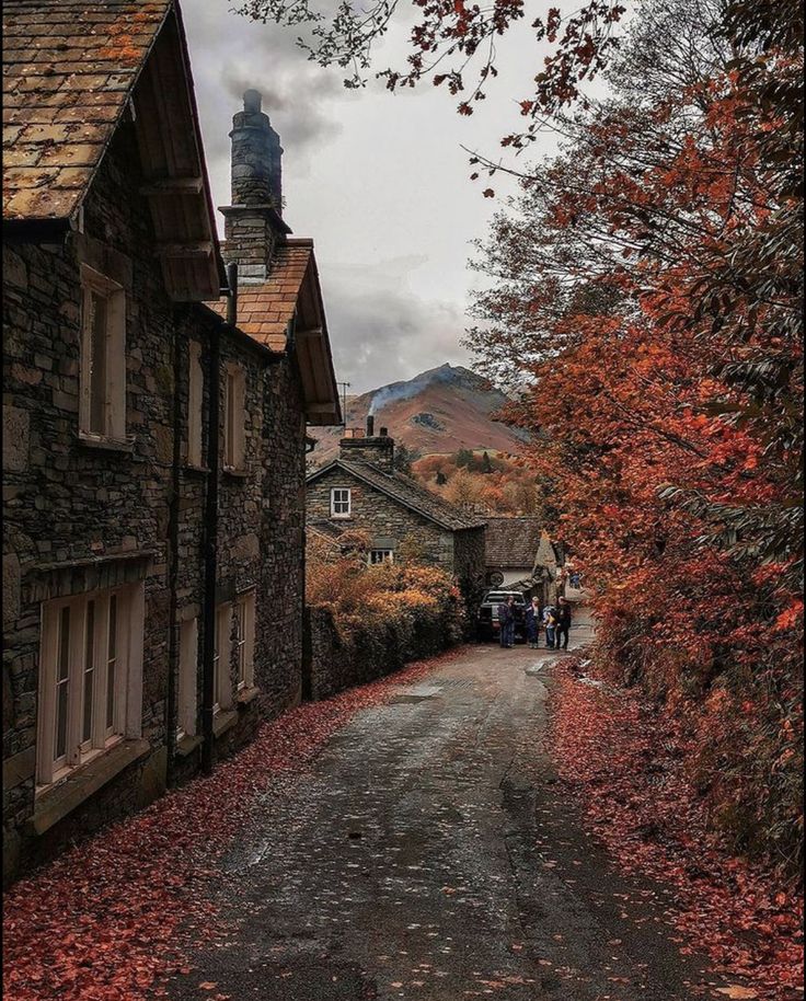 a narrow road with houses on both sides and autumn leaves covering the ground in front