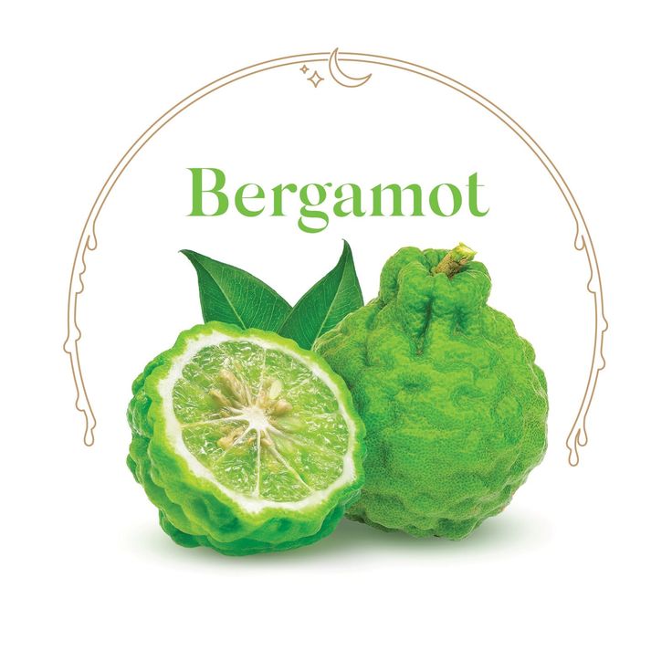 bergamot fruit with leaves on white background, label design for bergamot