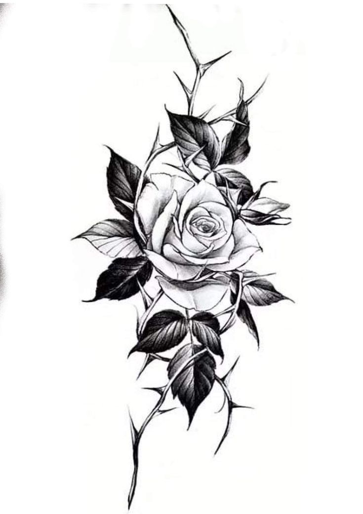 a black and white rose with leaves on it