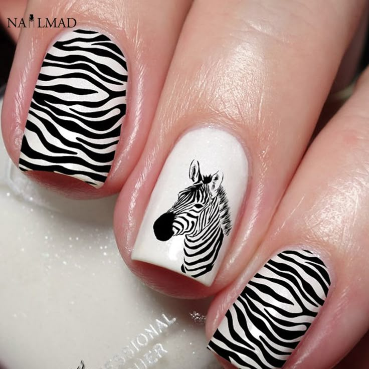 Zebra Stripe Nails, Type Of Nails, Zebra Nail Designs, Zebra Nail Art, Nagel Stamping, Zebra Print Nails, Neon Nail Art, Animal Print Nails Art, Long Nail Art