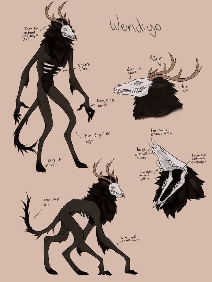 some drawings of different types of animals with horns and claws on their heads, one is black