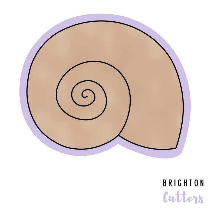 a drawing of a snail's shell with the words brighton cutters on it