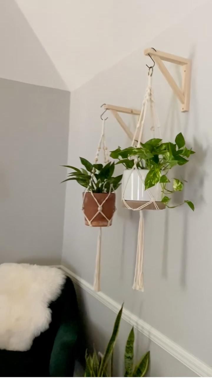 some plants are hanging on the wall