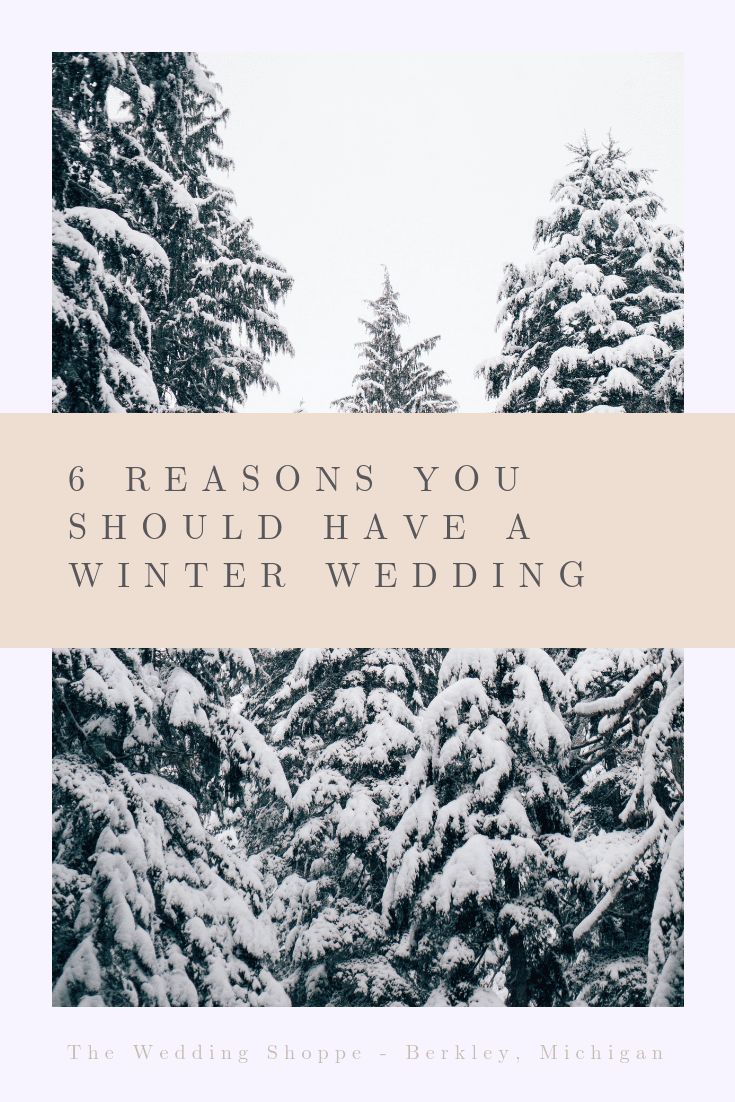 trees covered in snow with the words, 6 reason you should have a winter wedding