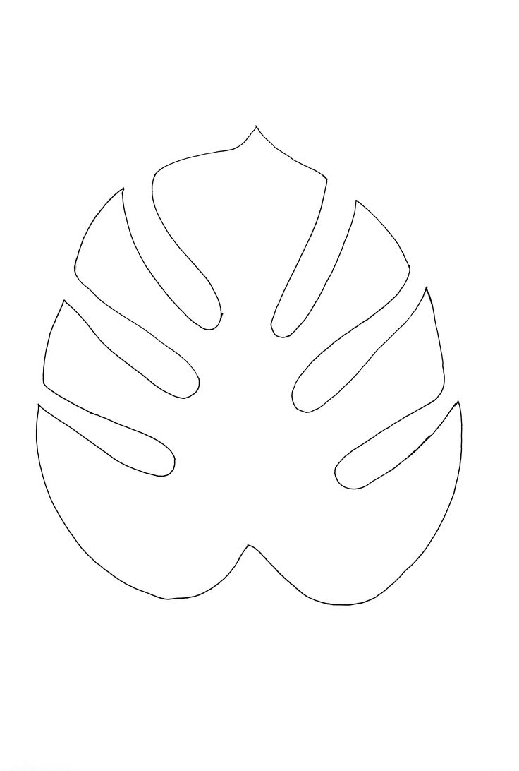 the outline of a monster leaf