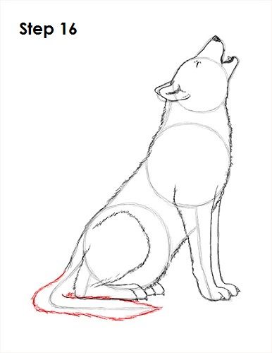 a drawing of a wolf sitting down with its head turned to the side and eyes closed