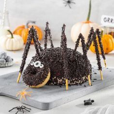 a chocolate spider cake with sprinkles on it