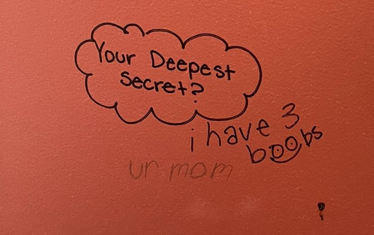 graffiti written on the side of a toilet in a public restroom that reads, your deepest secret? i have 3 books or mom