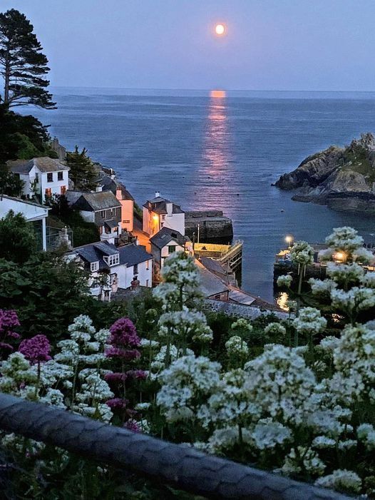 the full moon is setting over some houses by the water with flowers in front of it