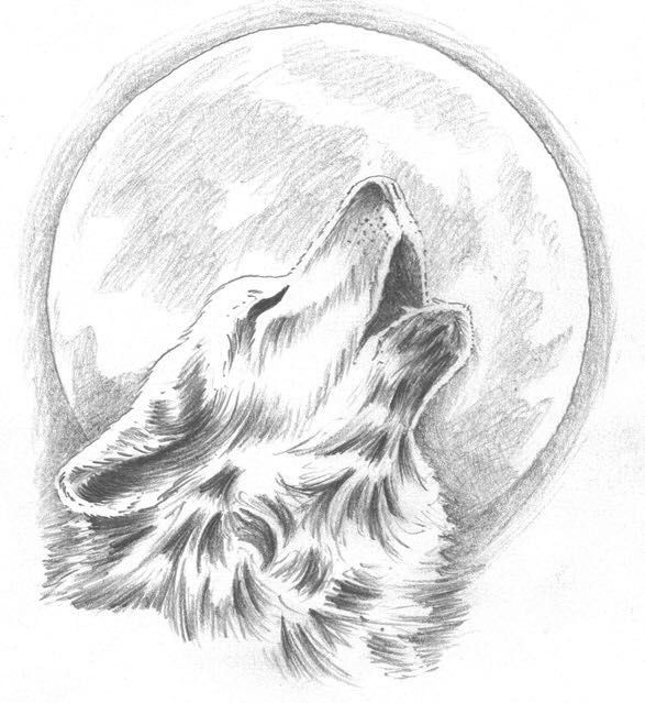 a drawing of a wolf's head with the moon in the background