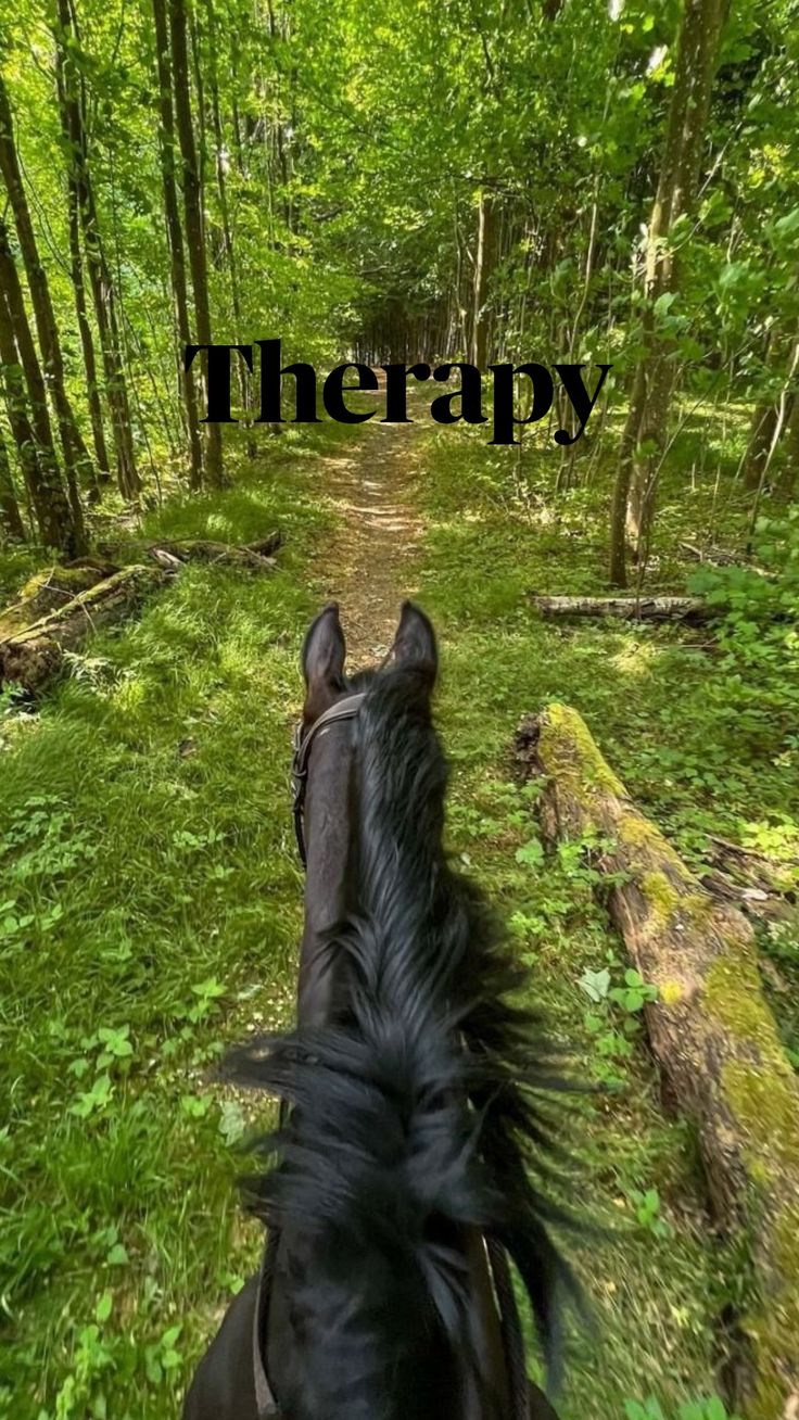 the back end of a horse's head as it walks down a trail in the woods