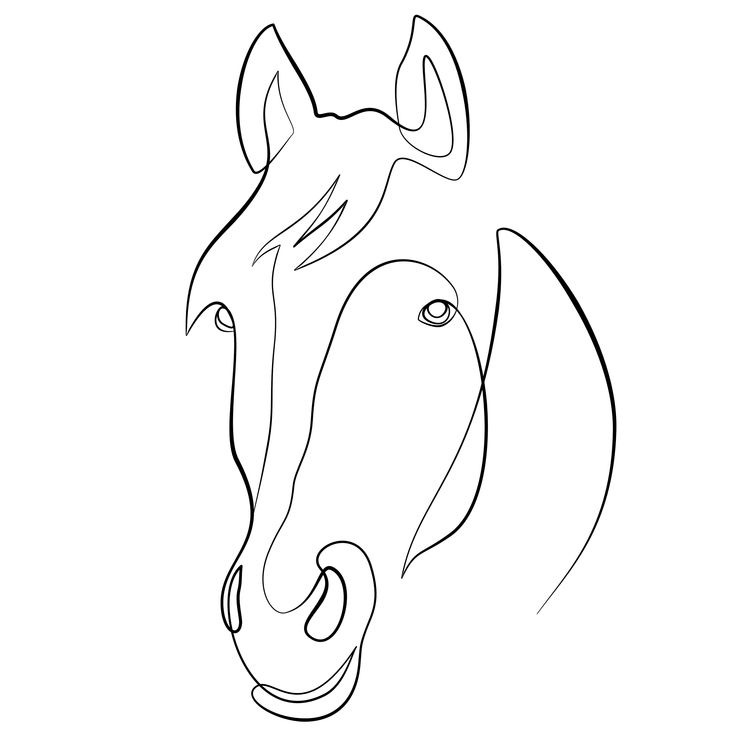 a line drawing of a horse's head