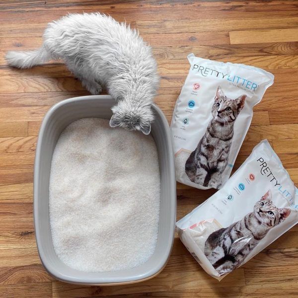 a cat laying in a litter box with three bags of kitty litter next to it