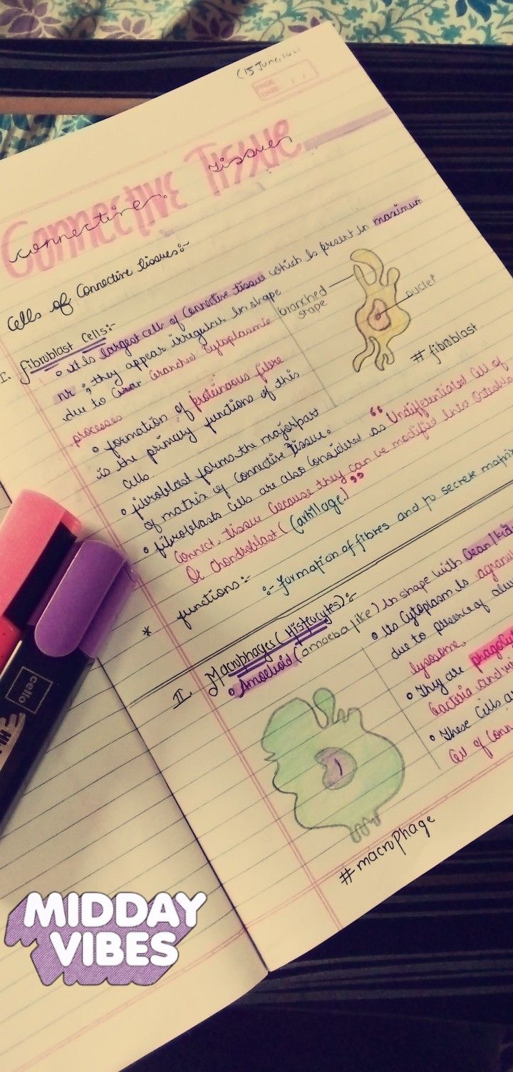 Medical aesthetic note making ideas and productivity builder Connective Tissue Anatomy Notes, Topic Decoration Ideas, Biology Tissues Notes, Notes Making Ideas Biology, Anatomy Tissue Notes, Nervous Tissue Notes, Connective Tissue Notes, Connective Tissue Drawing, Tissues Aesthetic